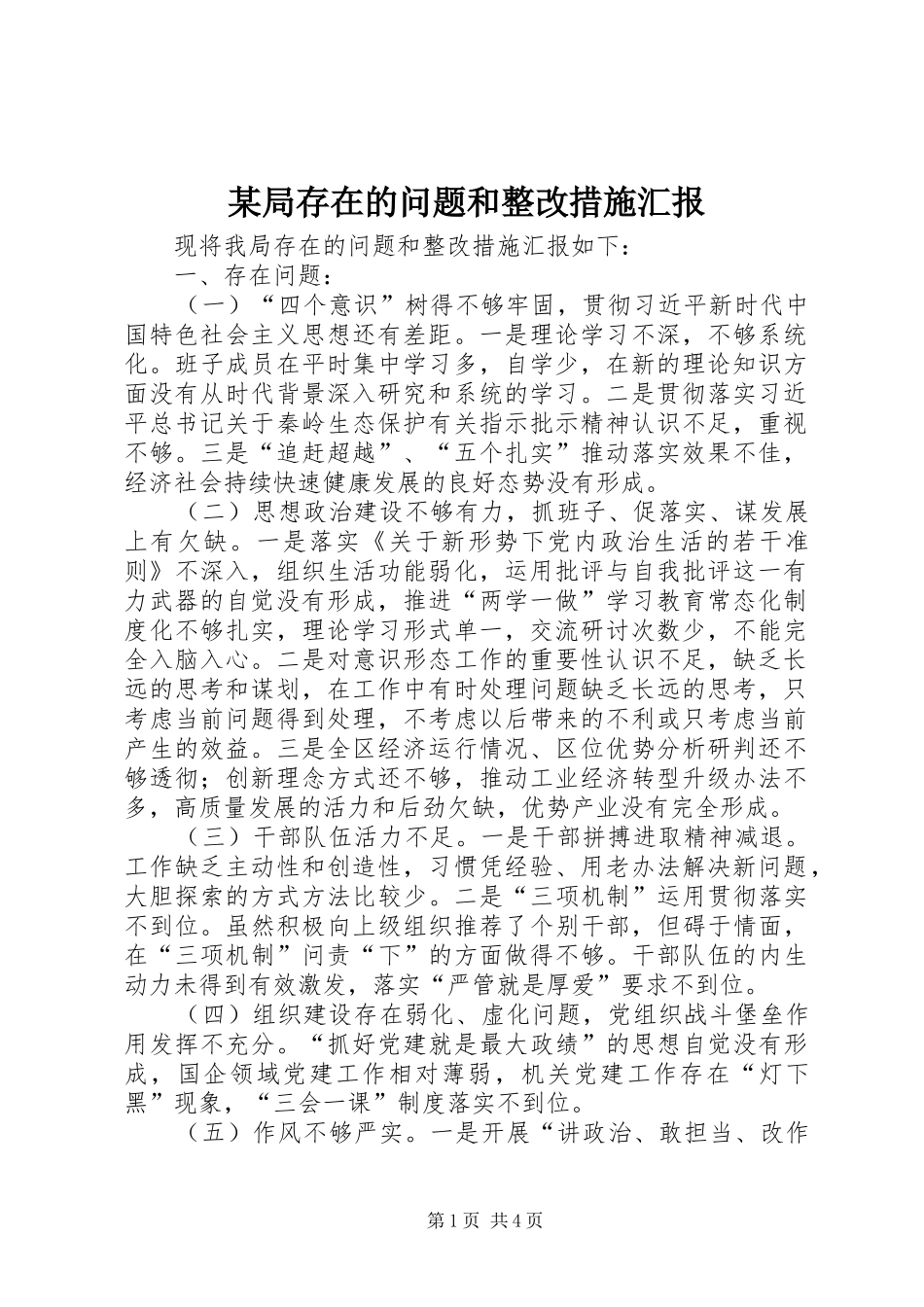 某局存在的问题和整改措施汇报_第1页