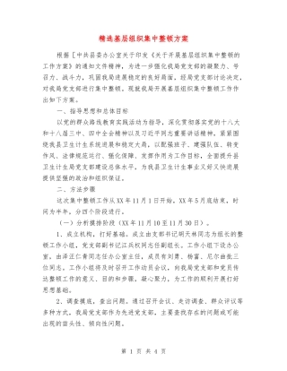 基层组织集中整顿方案