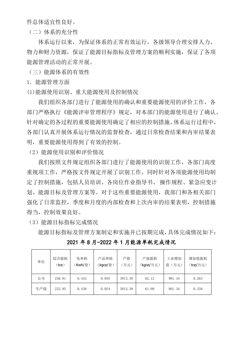 能源管理评审报告_第2页