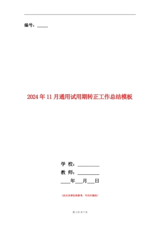 2024年11月通用试用期转正工作总结模板