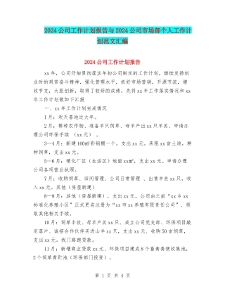 2024公司工作计划报告与2024公司市场部个人工作计划范文汇编