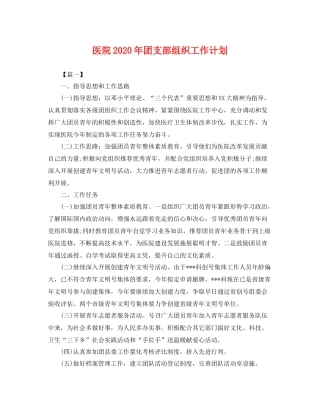医院年团支部组织工作计划 