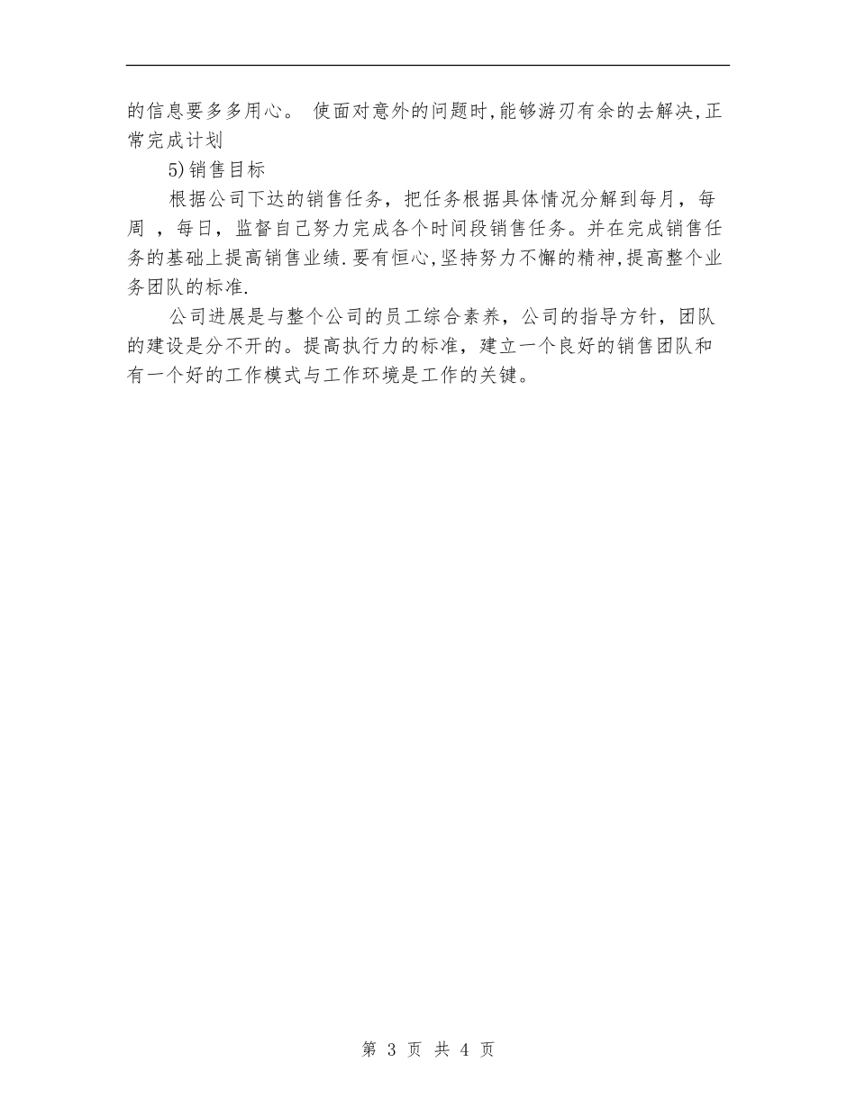 销售业绩工作计划范本_第3页