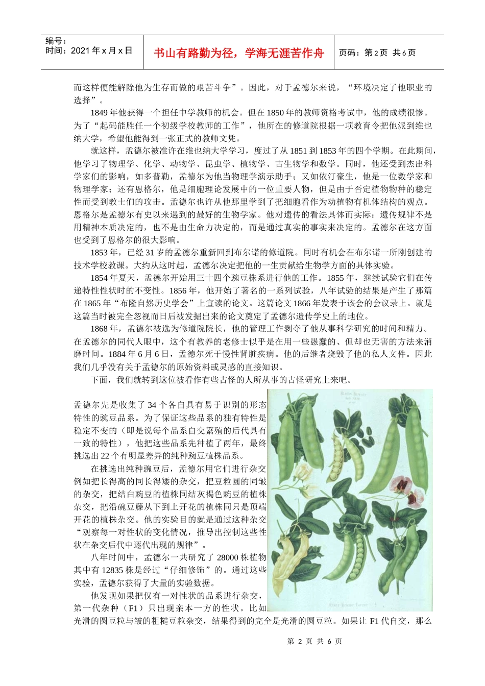 基因的显性与隐性(生物教案)_第2页