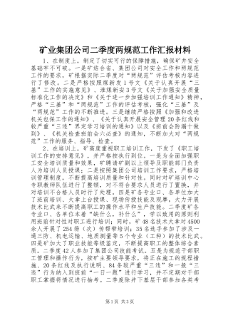 矿业集团公司二季度两规范工作汇报材料