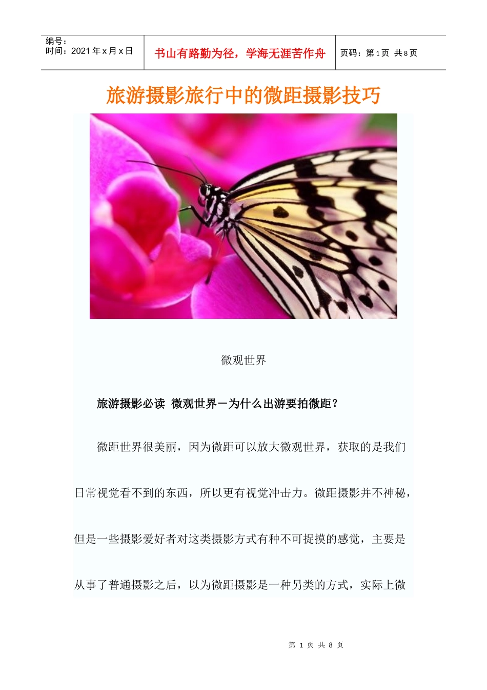旅游摄影旅行中的微距摄影技巧_第1页