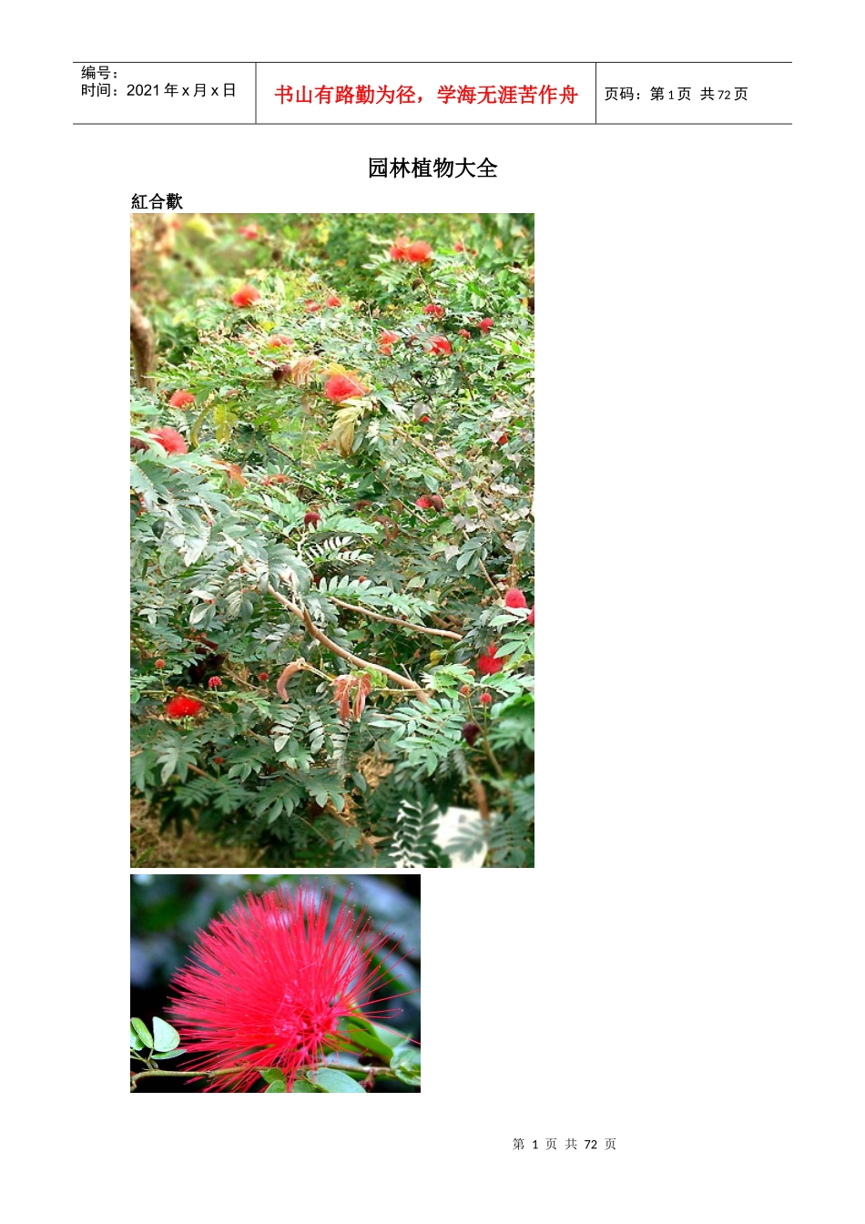 园林植物大全(plants)_第1页