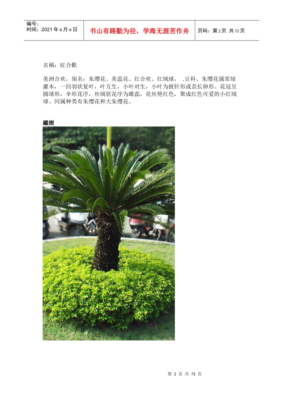 园林植物大全(plants)_第2页