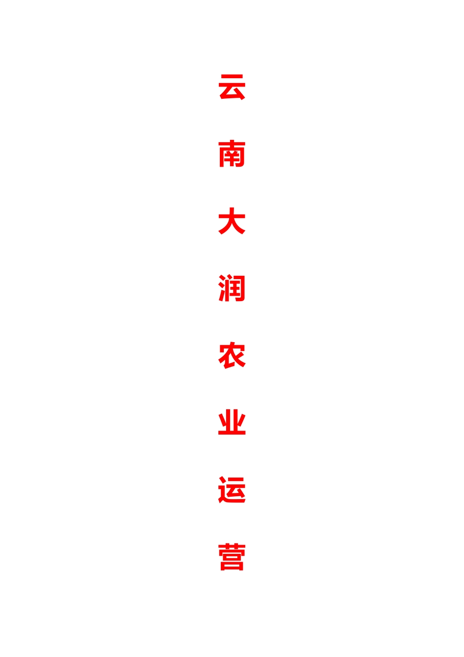 云南大润阿里巴巴操作运营方案_第1页