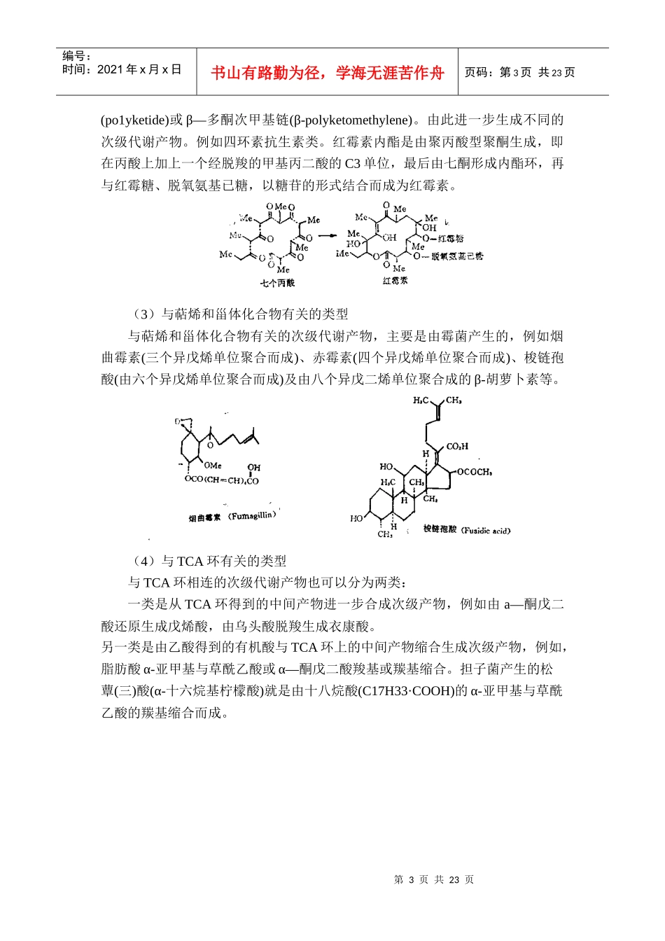 发酵生物化学基础_第3页
