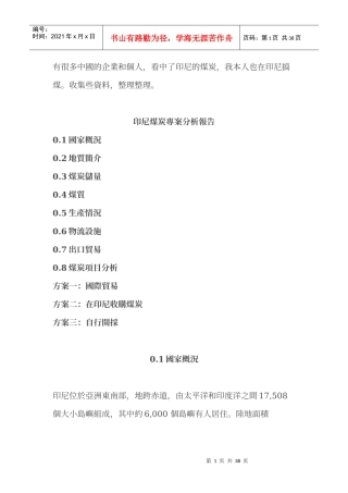印尼煤炭专案分析报告