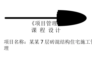 工程项目管理课程设计1