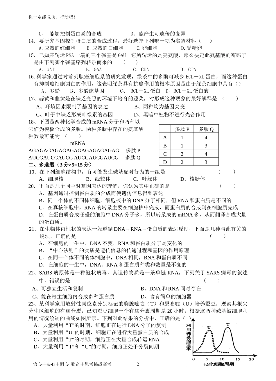 惠来慈云实验中学生物选科每周一测第四章基因的表达_第2页