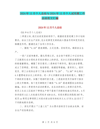 2024年12月个人总结与2024年12月个人试用期工作总结范文汇编