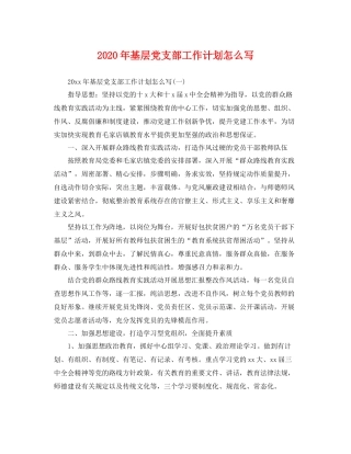 2020年基层党支部工作计划怎么写 