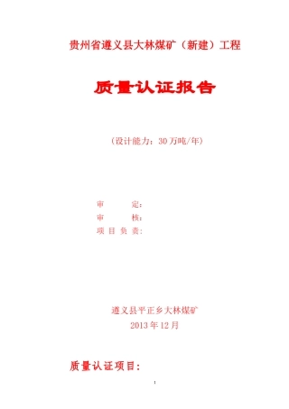 大林煤矿单项工程论证