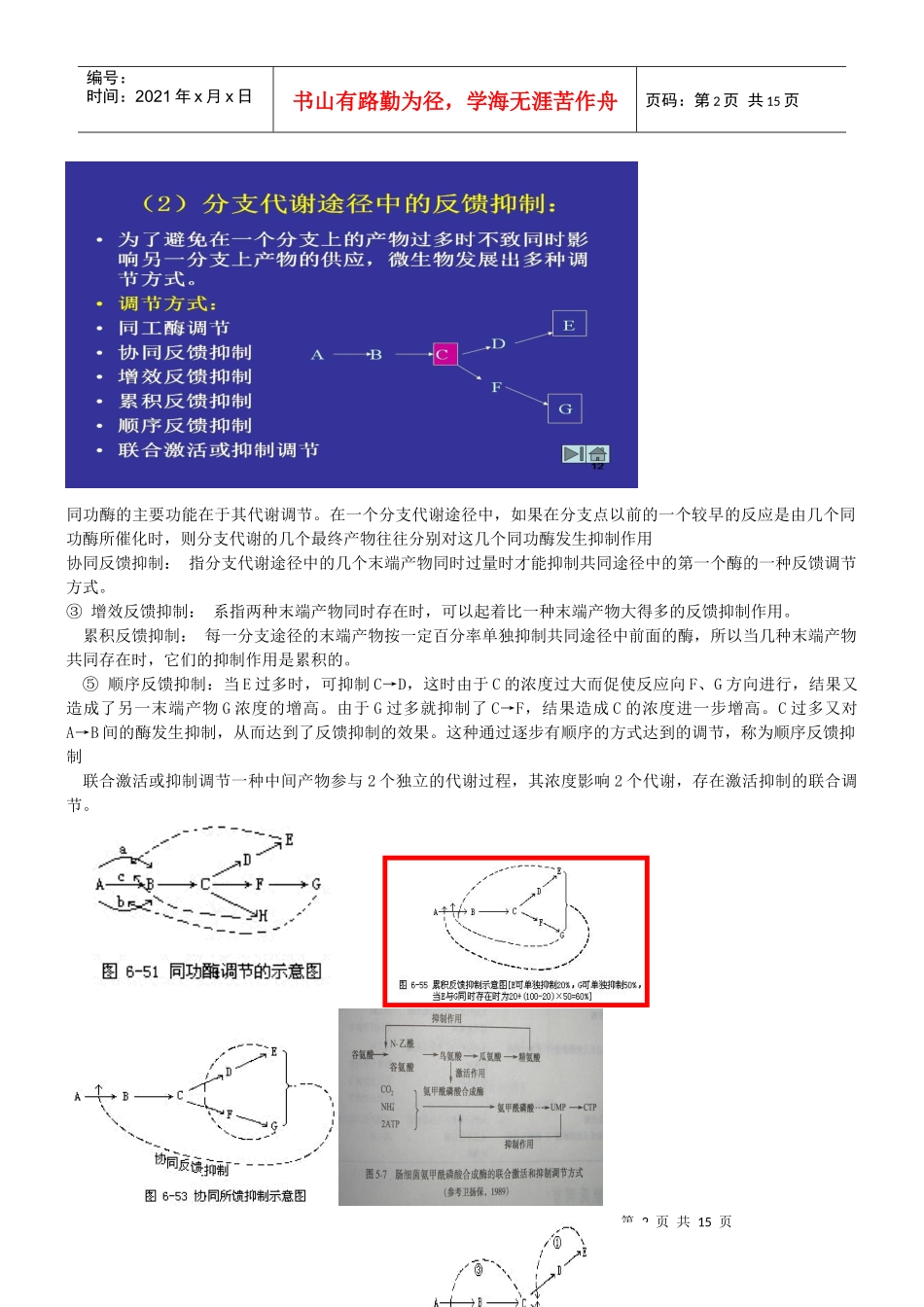 微生物工程期末复习习题及全部答案_第2页