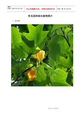 常见园林绿化植物图片