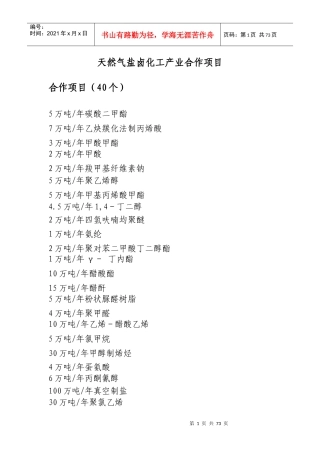 天然气盐卤化工产业合作项目