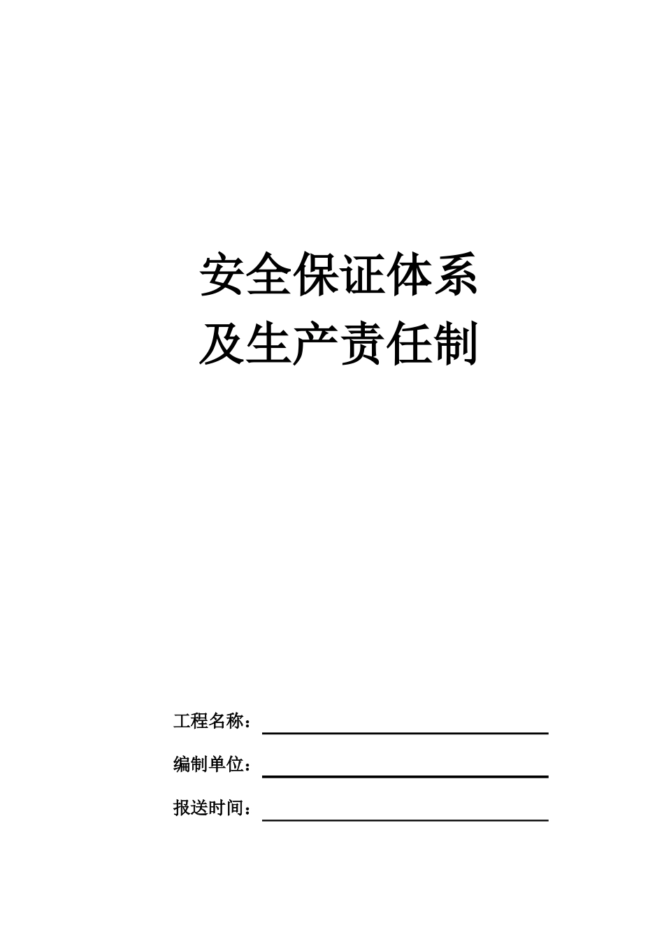 安全保证体系_第1页