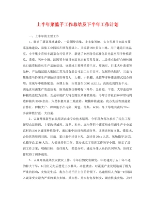 上半2020年菜篮子工作总结及下半年工作计划 