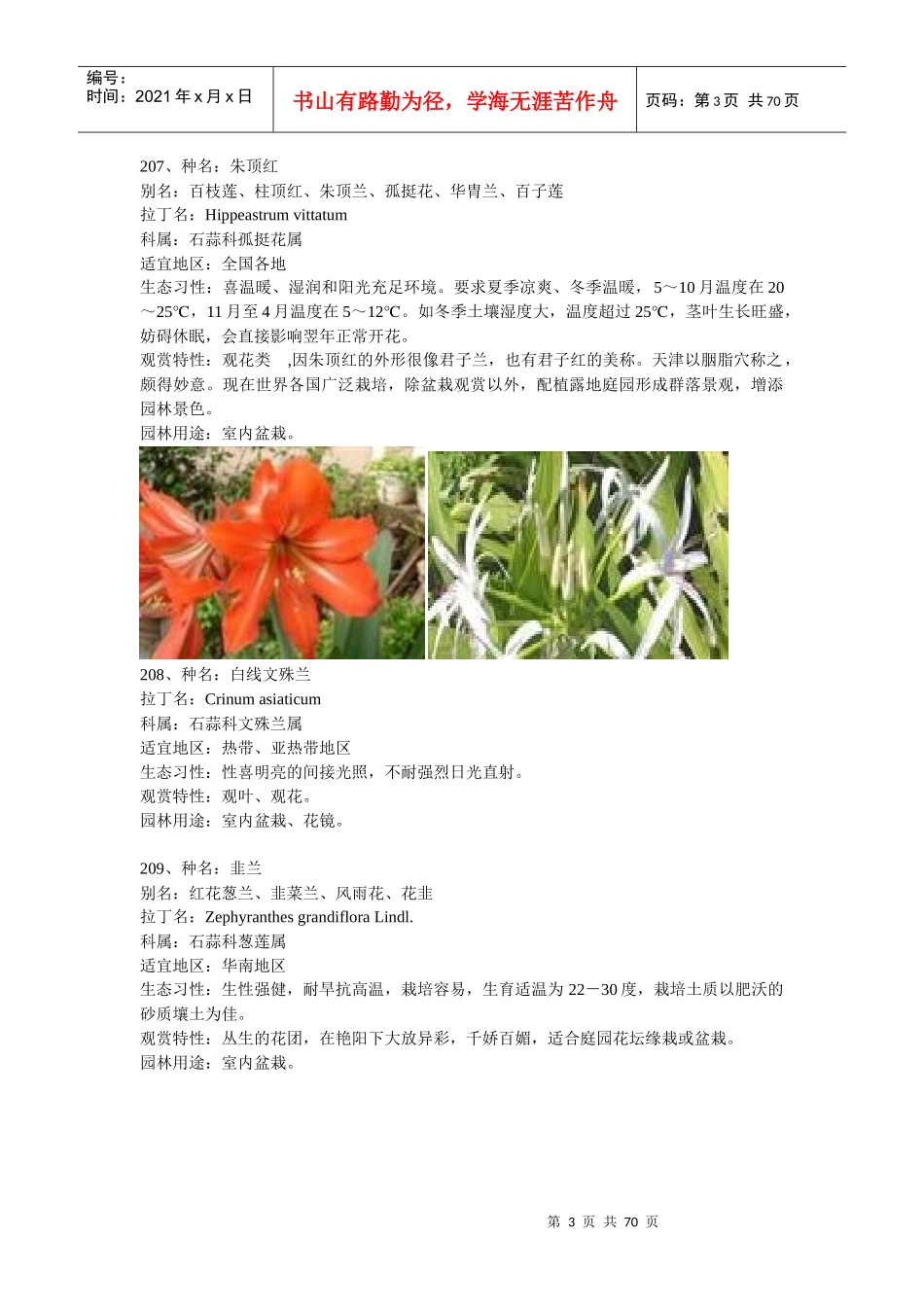 常见园林植物(广东省)2_第3页