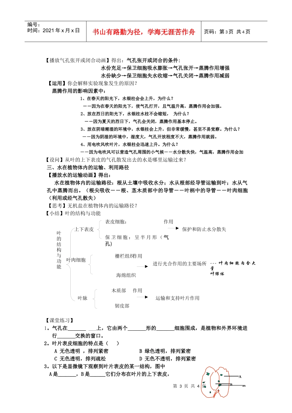 叶的蒸腾作用和结构_第3页