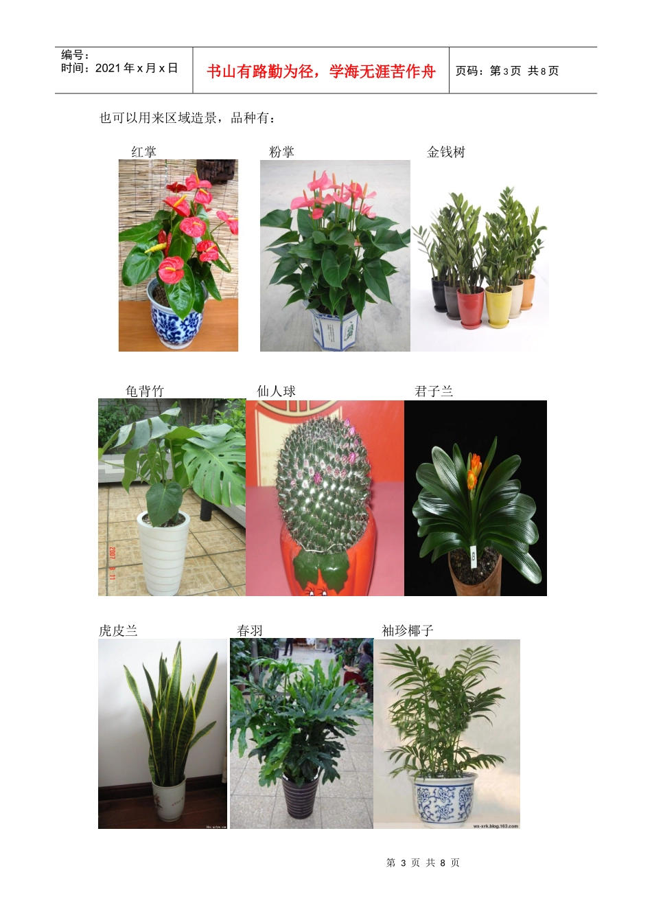 提升国际酒店氛围布置方案_第3页