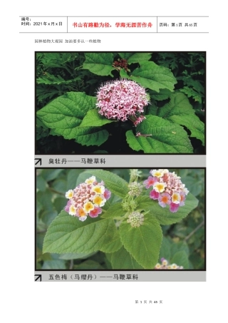 园林植物大观园2