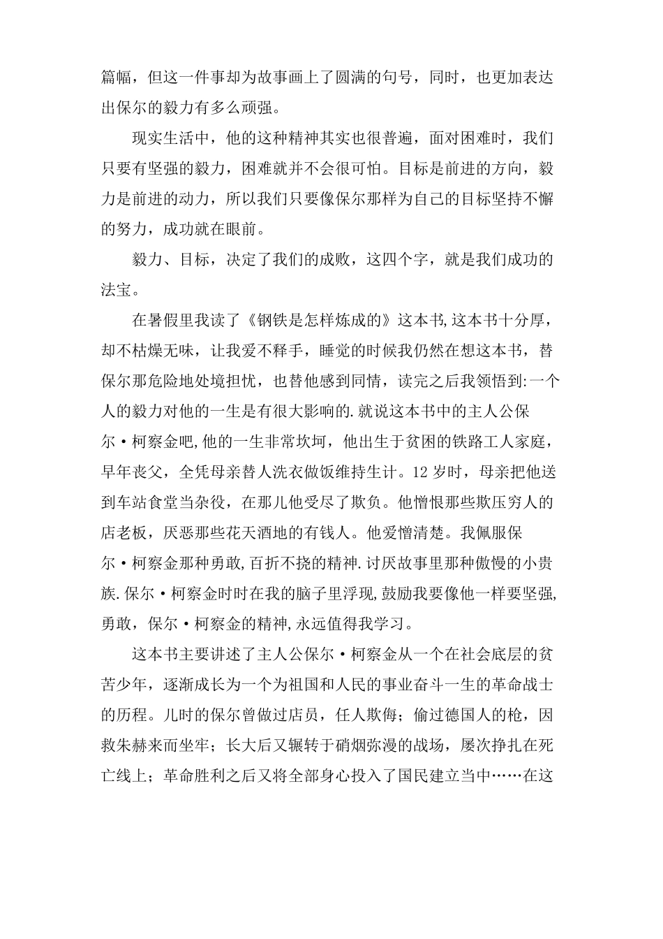 钢铁是怎样炼成的小学读后感11篇_第2页