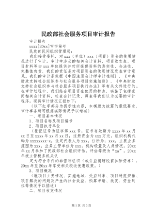 民政部社会服务项目审计报告