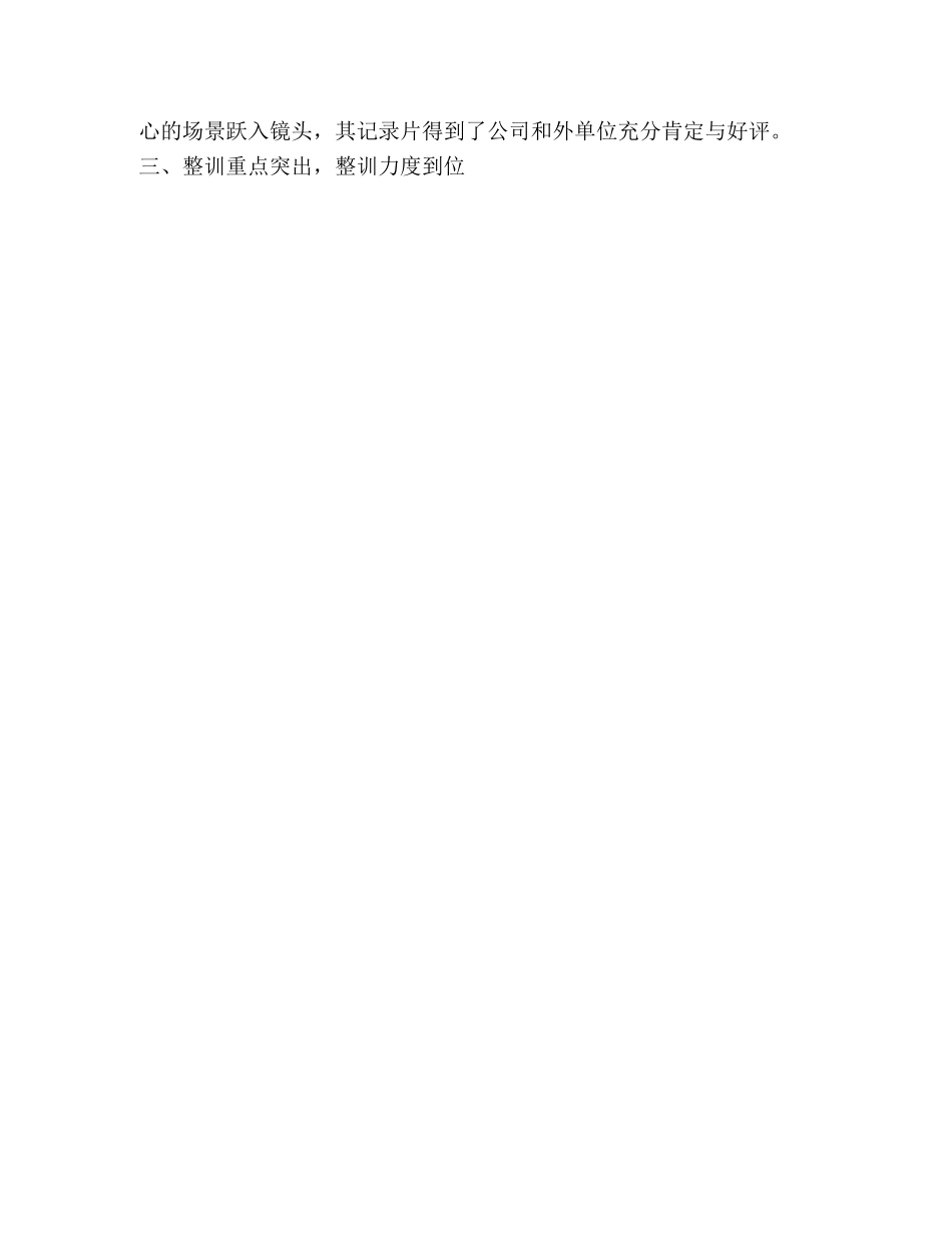 队伍整训总结 _第3页