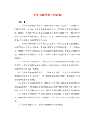 团支书新学期工作计划 