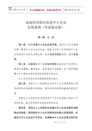 海南经济特区促进中小企业