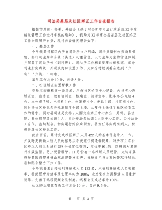 司法局基层及社区矫正工作自查报告