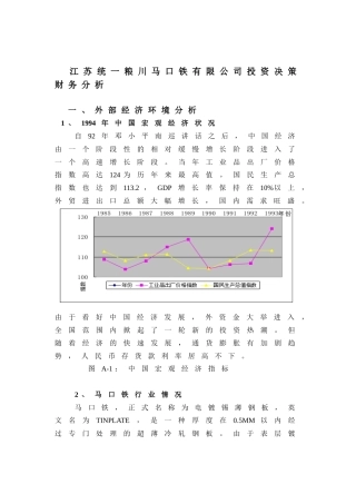 江苏统一粮川马口铁有限公司投资决策财务分析