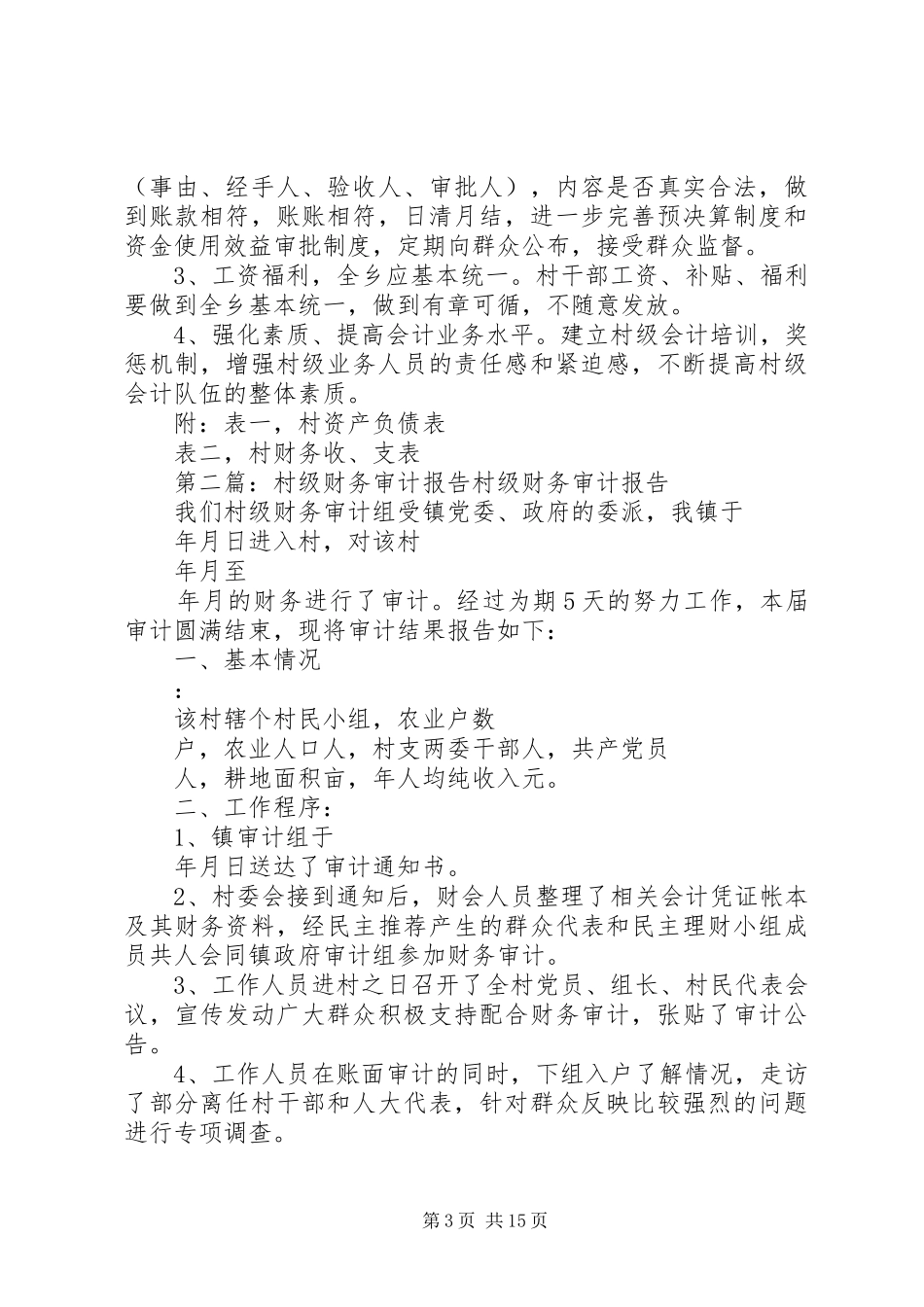 画湾村级财务审计报告(1)_第3页