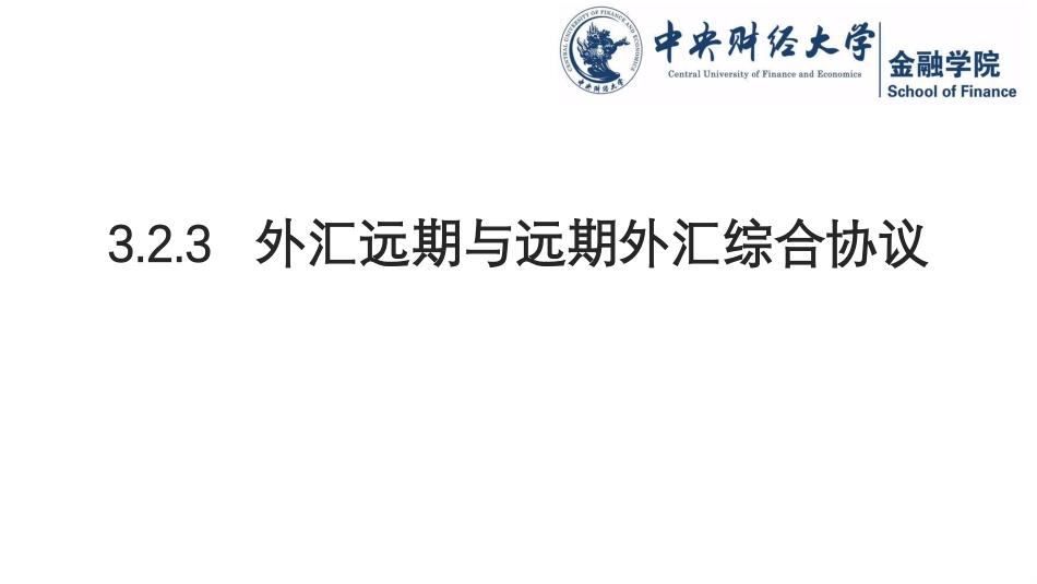 外汇远期与远期外汇综合协议(PDF40页)_第1页