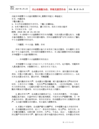 【精品文档-管理学】浅议多种经营中小企业的财务控制_财务管理