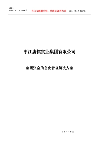 唐杭实业集团资金管理解决方案