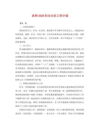 农村2020妇女主任工作计划 