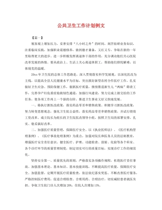 公共卫生工作计划例文 