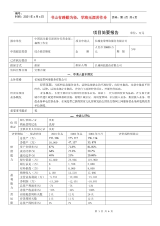 民生银行授信全套资料简要报告