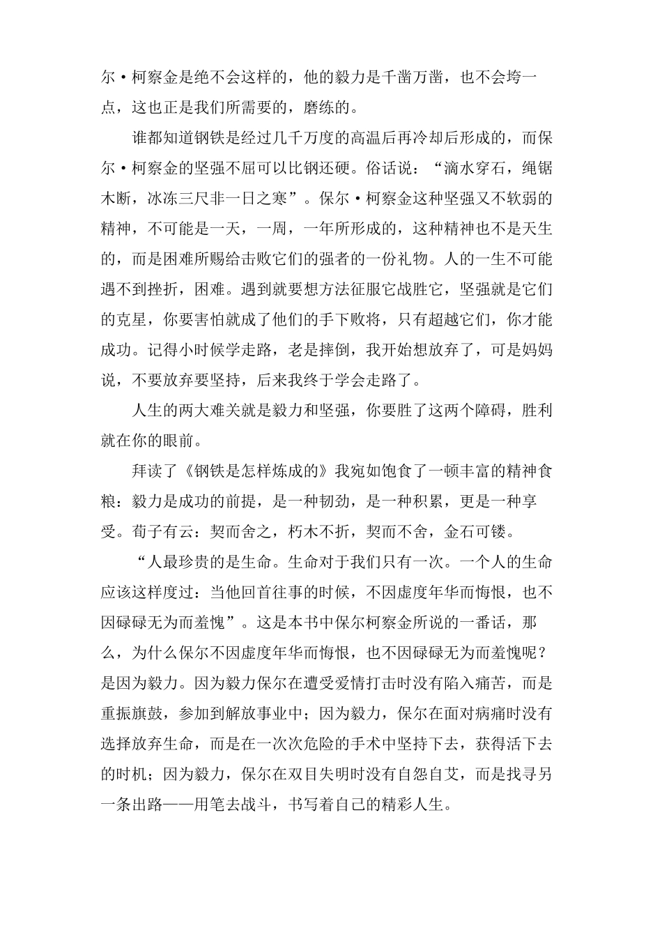 钢铁是怎样炼成的读后感800字13篇_第2页