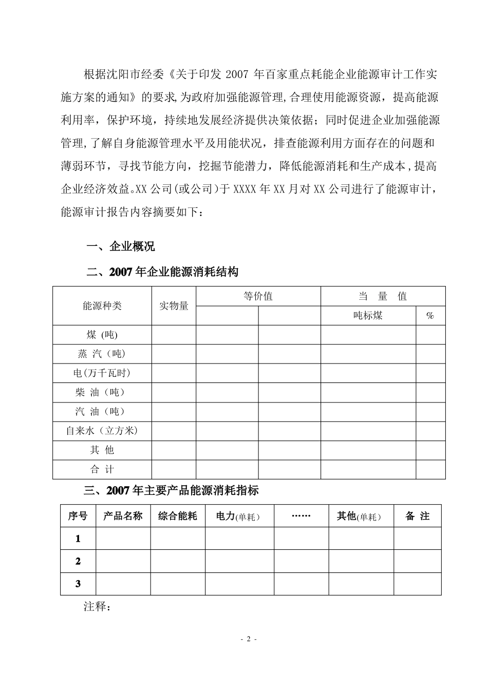 上海能源审计报告示范文本_第3页