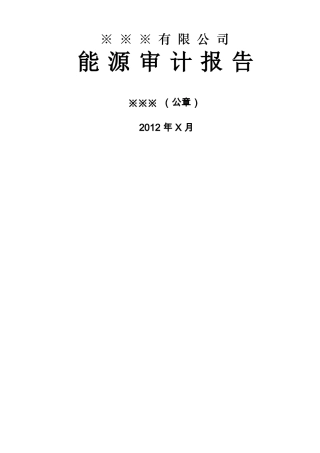 上海能源审计报告示范文本