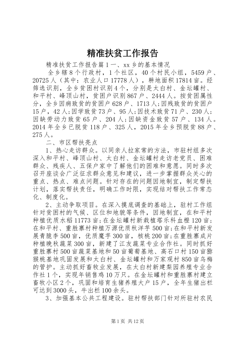 精准扶贫工作报告_第1页