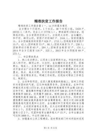 精准扶贫工作报告