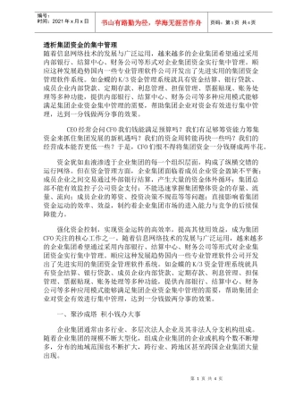 透析集团资金的集中管理(doc7)