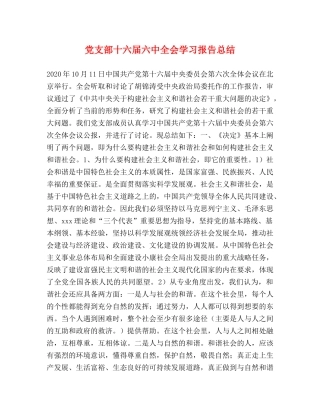 党支部十六届全会学习报告总结 
